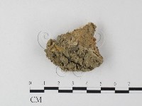 登錄號:F0023983藏品圖，第3張