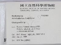 登錄號:F0023985藏品圖，第2張
