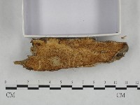 登錄號:F0023985藏品圖，第3張