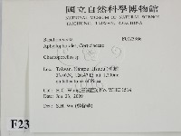 登錄號:F0023986藏品圖，第2張