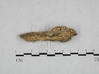 登錄號:F0023986藏品圖，第3張