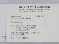 絲皮菌屬藏品圖，第2張