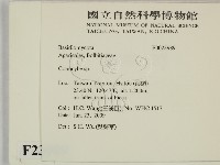 登錄號:F0023989藏品圖，第2張