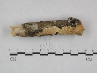 登錄號:F0023991藏品圖，第1張