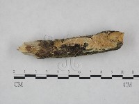 登錄號:F0023991藏品圖，第3張