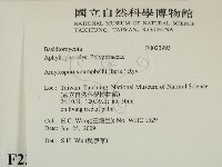 登錄號:F0023993藏品圖，第2張