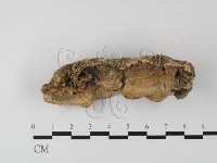 登錄號:F0023994藏品圖，第3張