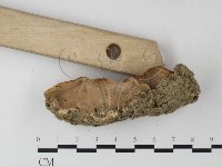 登錄號:F0023994藏品圖，第5張