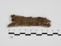 登錄號:F0023995藏品圖，第1張