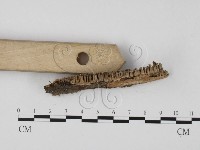 登錄號:F0023995藏品圖，第3張