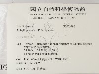 多孔菌屬藏品圖，第2張