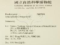 栓菌屬藏品圖，第2張