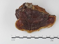 登錄號:F0024001藏品圖，第1張