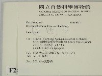 纖孔菌屬藏品圖，第2張