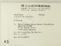 多孔菌屬藏品圖，第2張