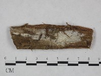 登錄號:F0024004藏品圖，第1張