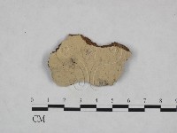 登錄號:F0024005藏品圖，第1張