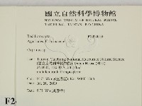 鬼傘屬藏品圖，第2張