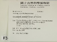 登錄號:F0024011藏品圖，第2張