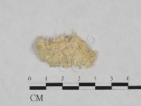 登錄號:F0024011藏品圖，第1張