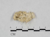 登錄號:F0024011藏品圖，第3張