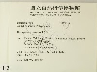 登錄號:F0024013藏品圖，第2張