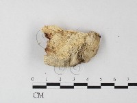 登錄號:F0024015藏品圖，第3張