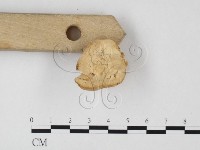 登錄號:F0024016藏品圖，第4張