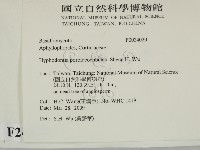 登錄號:F0024020藏品圖，第2張