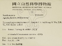 牛樟芝藏品圖，第2張