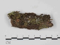 登錄號:F0024022藏品圖，第1張