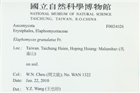 登錄號:F0024026藏品圖，第2張