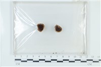 登錄號:F0024026藏品圖，第1張