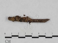 登錄號:F0024027藏品圖，第1張