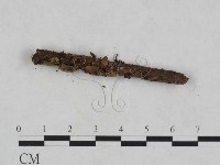 登錄號:F0024027藏品圖，第3張