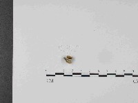 登錄號:F0024028藏品圖，第3張