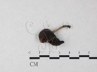登錄號:F0024029藏品圖，第3張