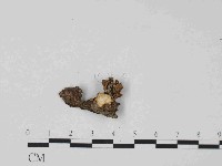 登錄號:F0024030藏品圖，第1張
