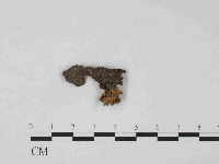 登錄號:F0024030藏品圖，第3張