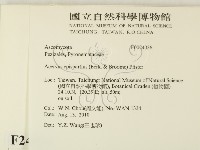 登錄號:F0024036藏品圖，第2張