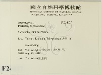 登錄號:F0024037藏品圖，第2張