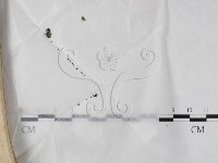 登錄號:F0024037藏品圖，第1張