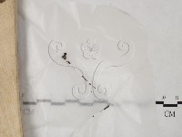 登錄號:F0024037藏品圖，第3張