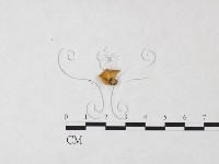 登錄號:F0024038藏品圖，第1張