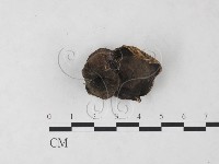 登錄號:F0024040藏品圖，第3張