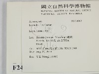 登錄號:F0024042藏品圖，第2張