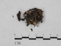 登錄號:F0024042藏品圖，第3張