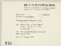 登錄號:F0024043藏品圖，第2張