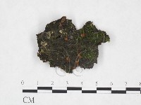 登錄號:F0024043藏品圖，第1張