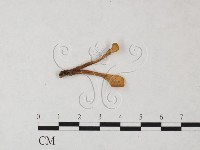 登錄號:F0024044藏品圖，第1張